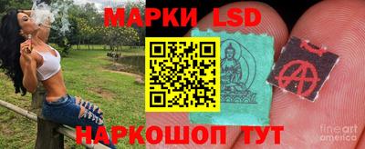 ГАЛЛЮЦИНОГЕННЫЕ ГРИБЫ Аргун