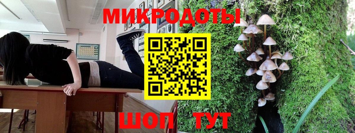 Псилоцибиновые грибы мухоморы Богданович